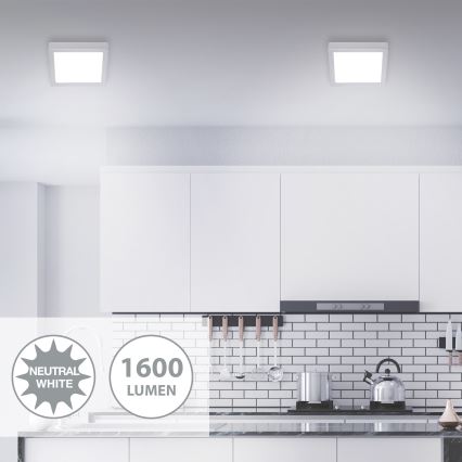 Briloner 7118-414 - Plafoniera LED FIRE LED/16,5W/230V 4000K