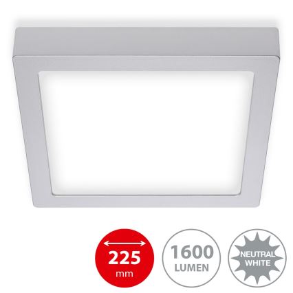 Briloner 7118-414 - Plafoniera LED FIRE LED/16,5W/230V 4000K