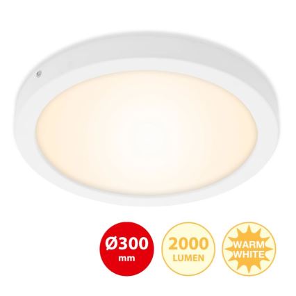 Briloner 7141-016 - Plafoniera LED FIRE LED/21W/230V