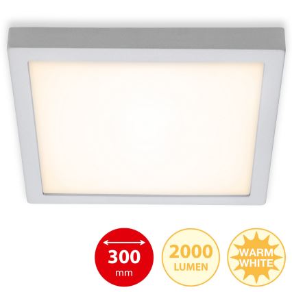 Briloner 7142-014 - Plafoniera LED FIRE LED/21W/230V 3000K