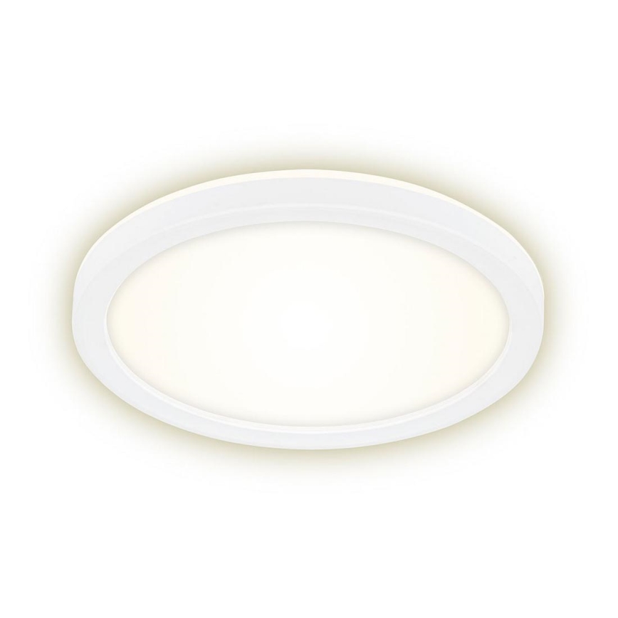 Briloner 7150-416 - Plafoniera LED SLIM LED/12W/230V d. 19 cm