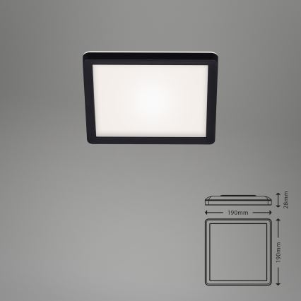 Briloner 7153-415 - Plafoniera LED SLIM LED/12W/230V 19x19 cm