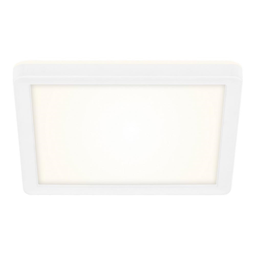 Briloner 7153-416 - Plafoniera LED SLIM LED/12W/230V