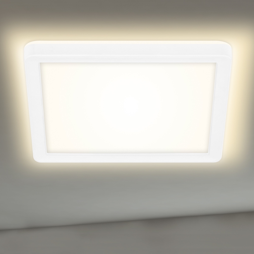 Briloner 7153-416 - Plafoniera LED SLIM LED/12W/230V