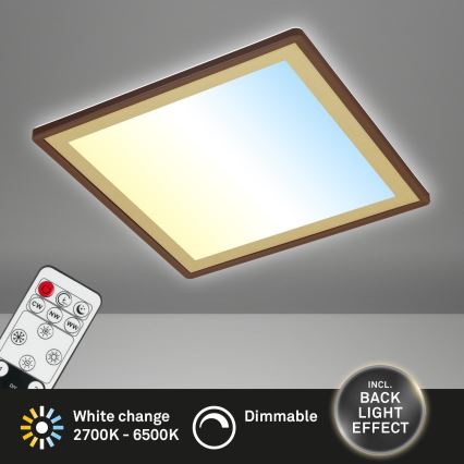 Briloner 7459-417 - Plafoniera LED dimmerabile DECO LED/24W/230V 2700-6500K + telecomando