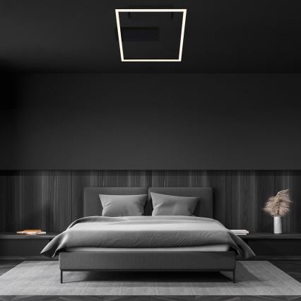 Briloner - Plafoniera LED FRAME LED/14W/230V 3000K 30x32 cm nera