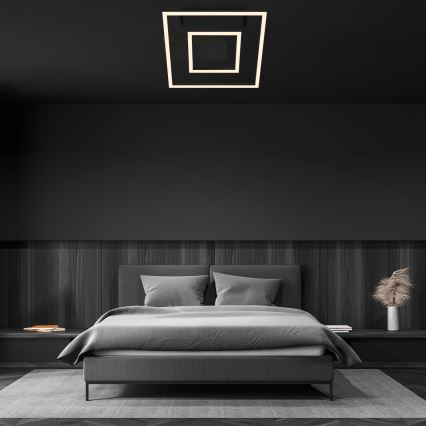 Briloner - Plafoniera LED FRAME LED/22W/230V 3000K 30x32 cm nera