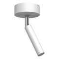 Brosline - Faretto 1xG9/2,5W/230V bianco