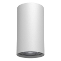 Brosline - Faretto 1xGU10/10W/230V bianco
