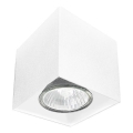 Brosline - Faretto 1xGU10/10W/230V bianco
