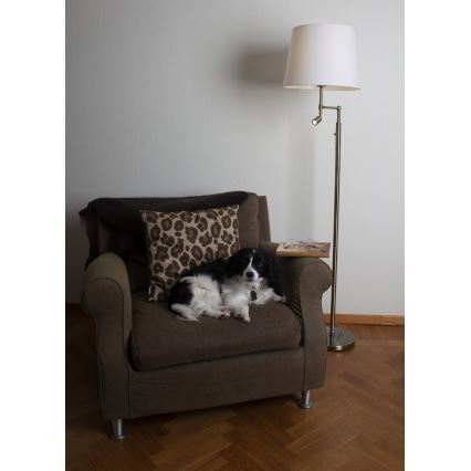 ByRydens - Lampada LED da terra ORLANDO 1xE27/5W/230V + LED/3W bianco/bronzo diametro 36 cm