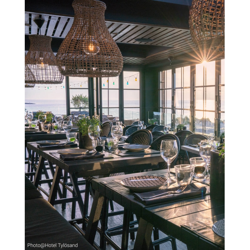 ByRydens - Lampadario a sospensione con filo SEAGRASS 1xE27/8W/230V beige diametro 49 cm