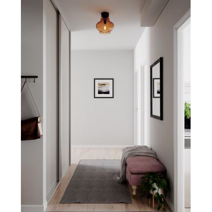 ByRydens - Plafoniera da soffitto DOLORES 1xE27/5W/230V Ø 30 cm marrone/fumé