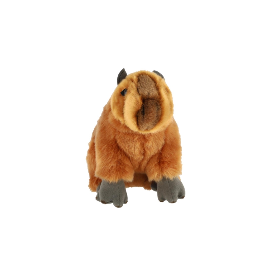 Capibara in peluche 25 cm