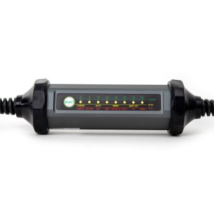 Caricabatterie portatile per veicoli elettrici con 4 adattatori Type 2 32A/480V 22kW 5m IP67
