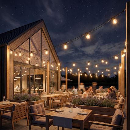 Catena decorativa LED per esterni 36xE12/1W/230V 22,35 m IP65 nero
