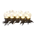 Catena decorativa LED per esterni 50xLED/10m IP44 trasparente