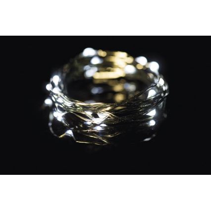 Catena di Natale LED da esterno 40xLED 9m IP44 bianco freddo