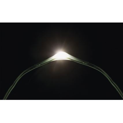 Catena di Natale LED da esterno 40xLED 9m IP44 bianco freddo