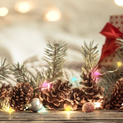 Catena LED RGB LED/10W/5V 10 m USB + telecomando