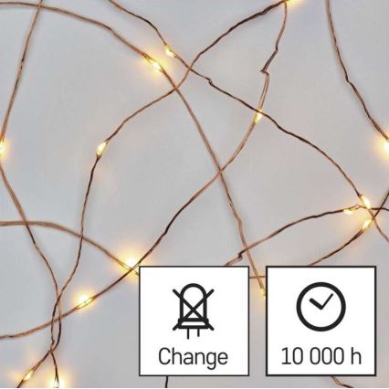 Catena luminosa a LED 20xLED/2,4m bianco caldo