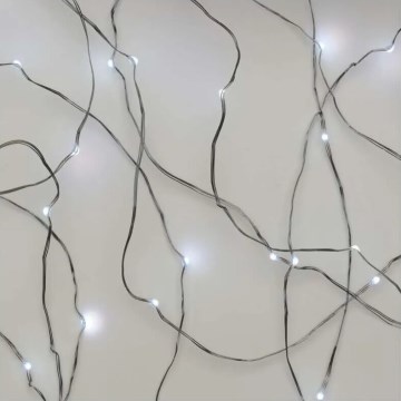 Catena luminosa a LED 20xLED/2xAA 2,4m bianco freddo
