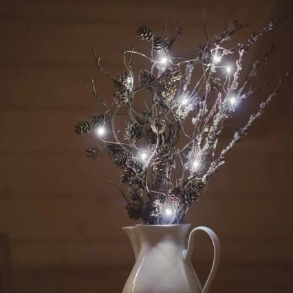 Catena luminosa a LED 20xLED/2xAA 2,4m bianco freddo