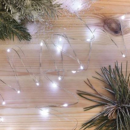 Catena luminosa a LED 20xLED/2xAA 2,4m bianco freddo