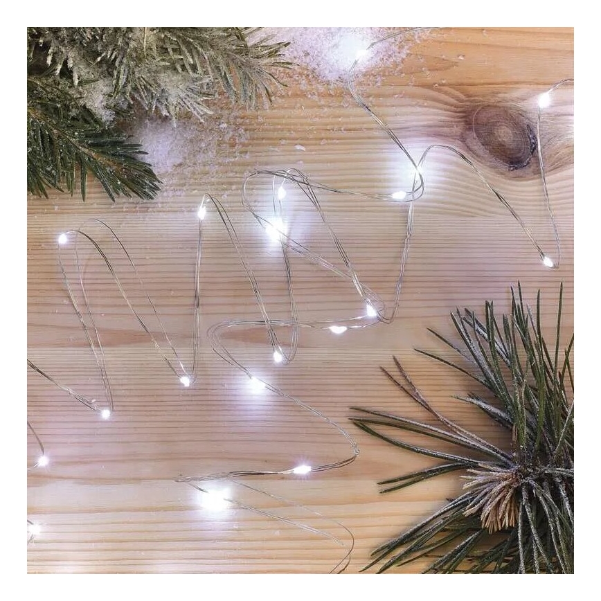 Catena luminosa a LED 20xLED/2xAA 2,4m bianco freddo