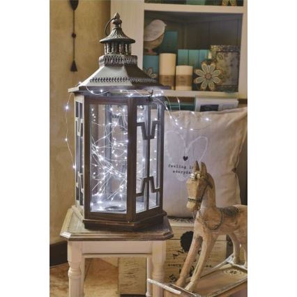 Catena luminosa da esterno a LED 40 LED, 9 m, IP44, bianco freddo