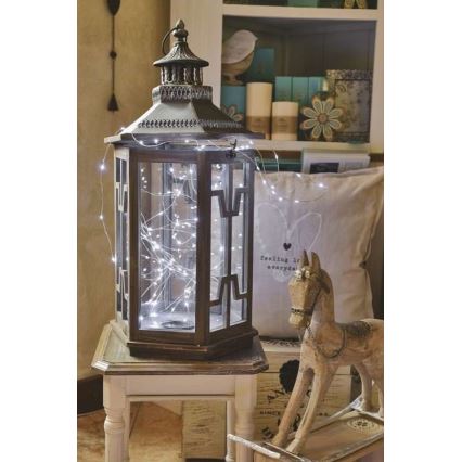 Catena luminosa LED da esterno 100xLED/15m IP44 bianco freddo