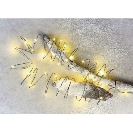 Catena luminosa LED da esterno 40xLED/9m IP44 bianco caldo