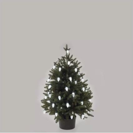 Catena luminosa LED per esterni, 50 LED / 8 funzioni, 14,8 m, IP44, bianco freddo