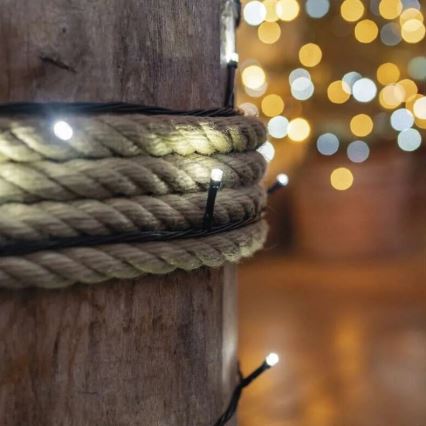 Catena luminosa LED per esterni 50xLED/5m IP44 bianco freddo