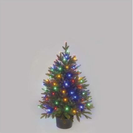 Catena luminosa LED per esterni 80 LED / 13 m, IP44, multicolore