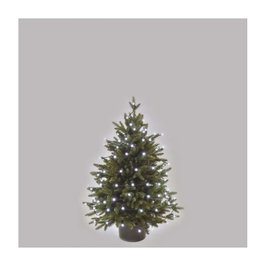 Catena luminosa LED per esterni 80xLED/13m IP44, bianco freddo