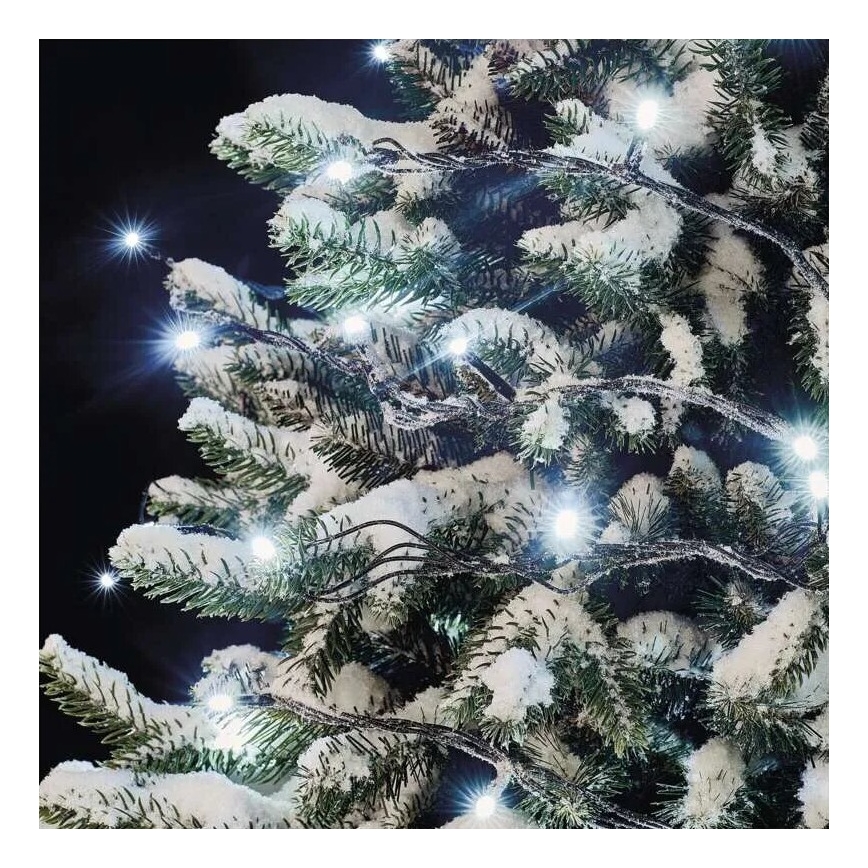 Catena luminosa natalizia a LED per esterni 100 LED/10 m IP44, bianco freddo
