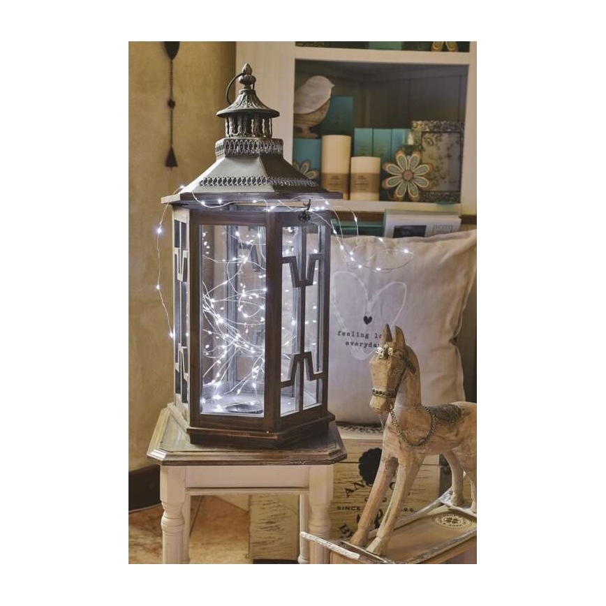 Catena luminosa natalizia LED da esterno 40xLED/9m IP44 bianco freddo