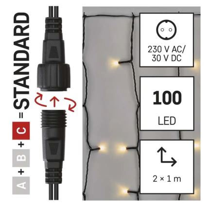 Catena luminosa natalizia LED per esterni 100xLED/1x2m IP44 bianco caldo