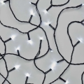 Catena luminosa natalizia LED per esterni 50xLED/5m IP44 bianco freddo