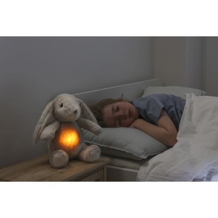 Cloud B - Compagno di coccole con melodia e luce coniglietto + USB