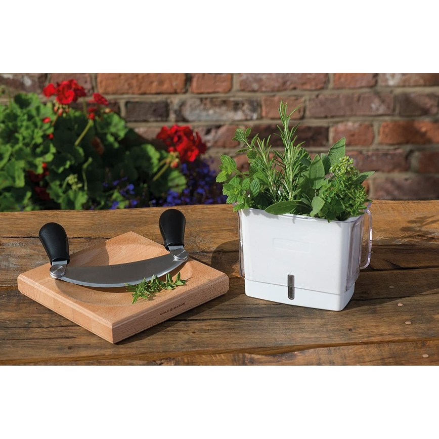 Cole&Mason - Contenitore per conservare le erbe aromatiche appena tagliate