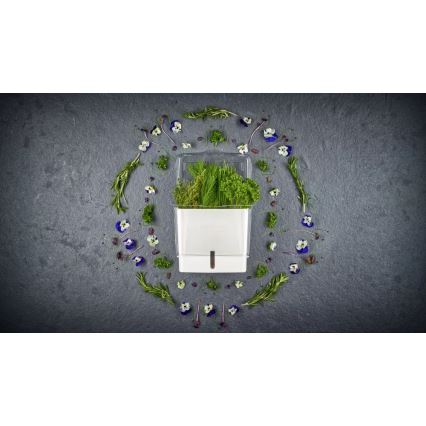 Cole&Mason - Contenitore per conservare le erbe aromatiche appena tagliate