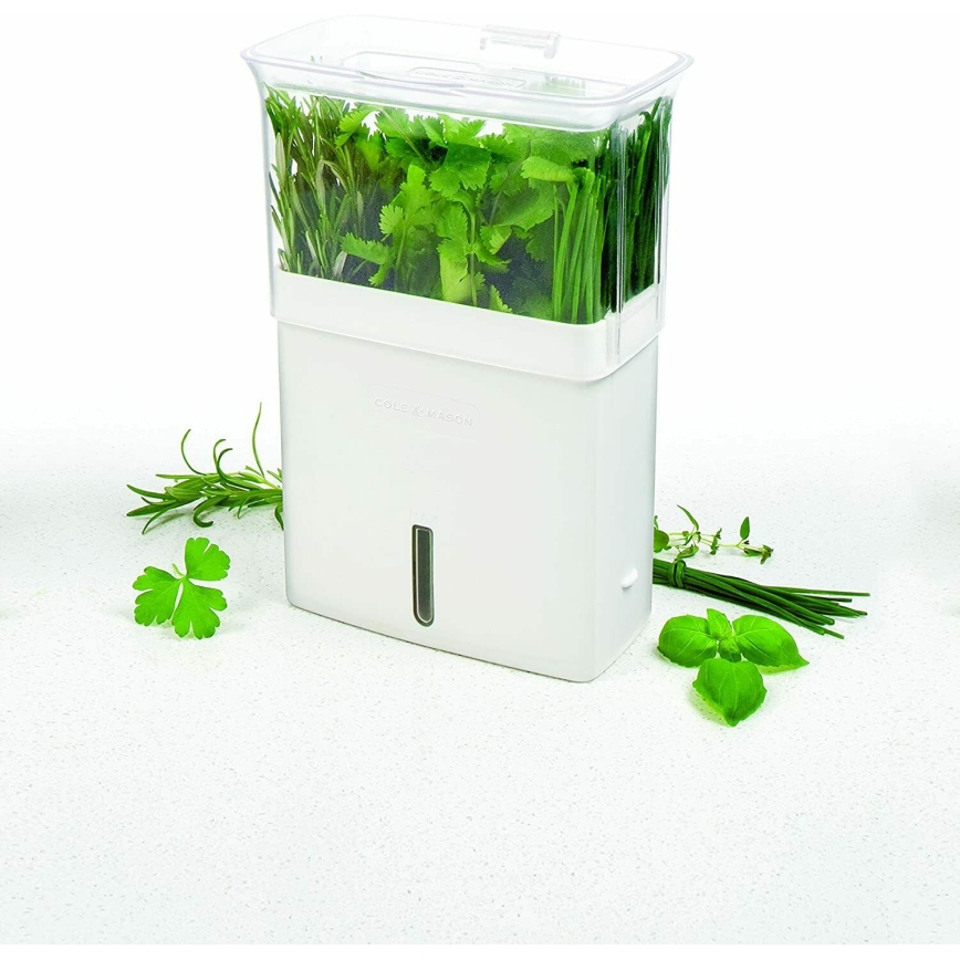 Cole&Mason - Contenitore per conservare le erbe aromatiche appena tagliate