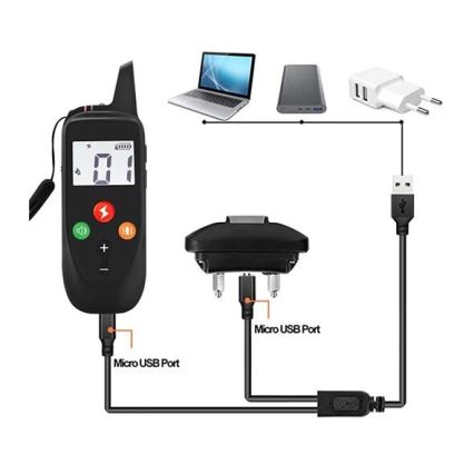 Collare elettrico per addestramento cani 52cm 500m 3,7V 300 mAh IP67