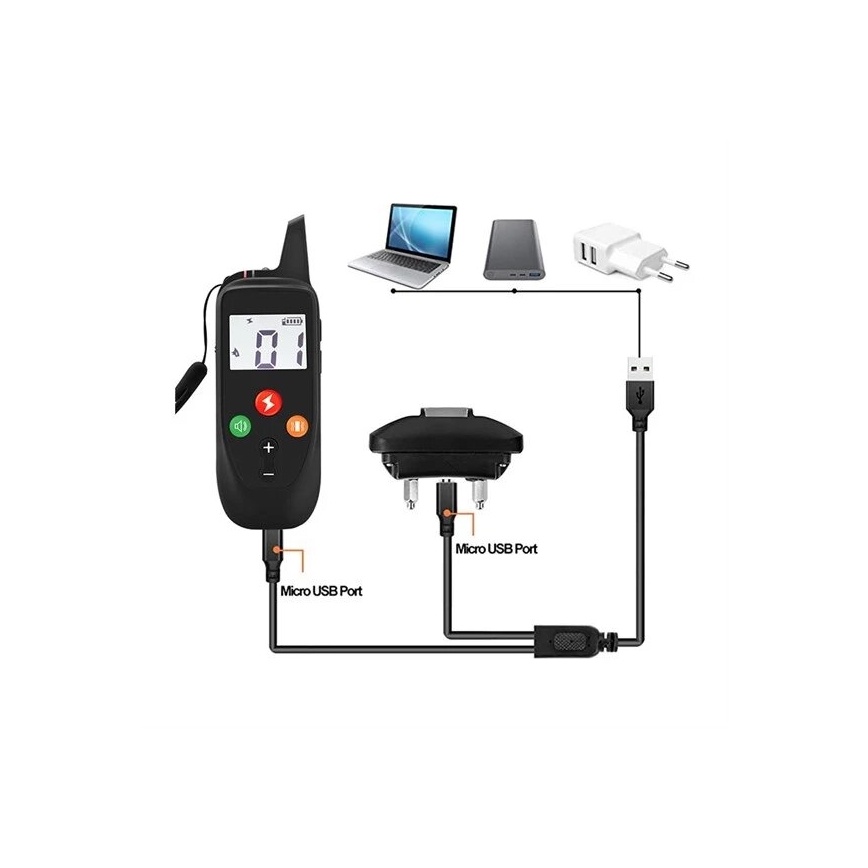 Collare elettrico per addestramento cani 52cm 500m 3,7V 300 mAh IP67
