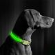 Collare per cani ricaricabile LED 35-43 cm 1xCR2032/5V/40 mAh verde