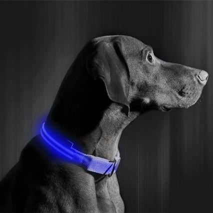 Collare per cani ricaricabile LED 40-48 cm 1xCR2032/5V/40 mAh blu