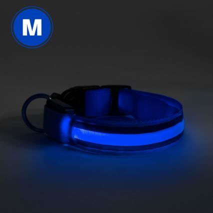 Collare per cani ricaricabile LED 40-48 cm 1xCR2032/5V/40 mAh blu