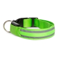 Collare per cani ricaricabile LED 45-52 cm 1xCR2032/5V/40 mAh verde